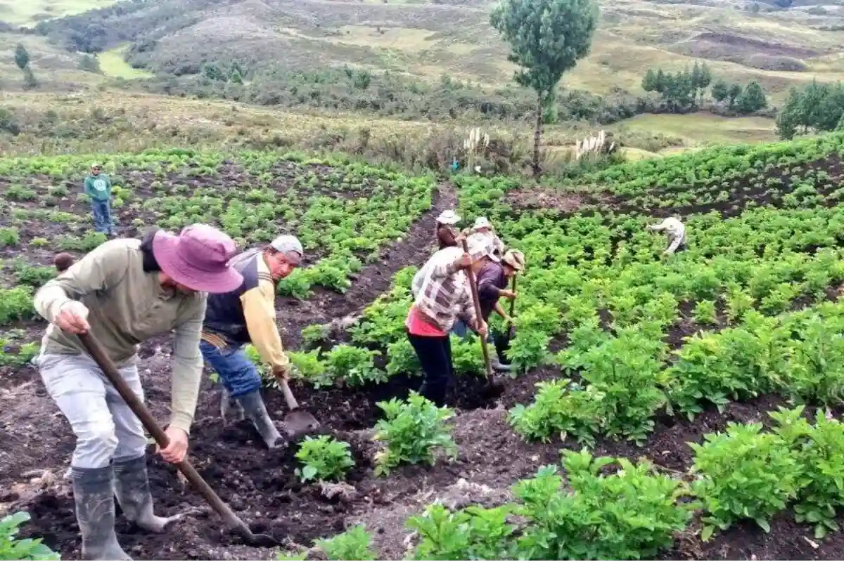 Incumplimiento del Gobierno en las metas del agro