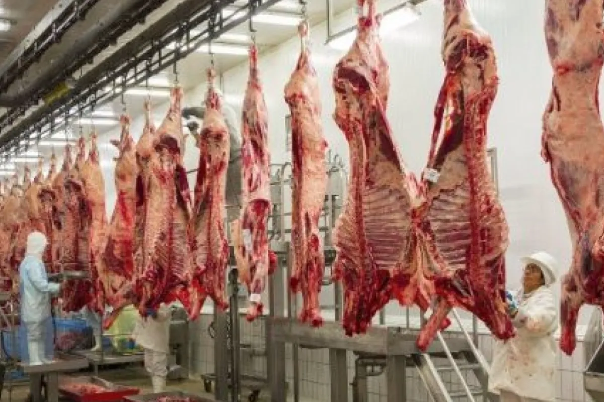 Invima alerta por circulación de carne ilegal