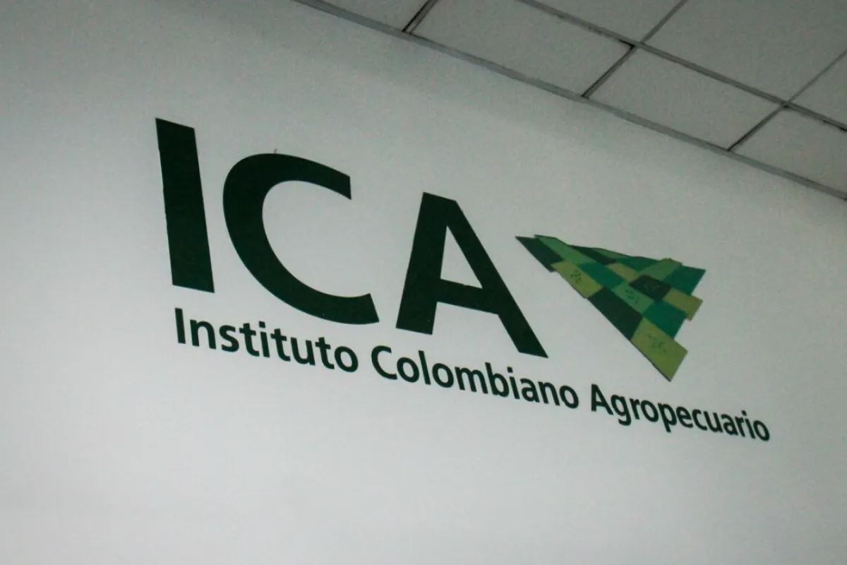 Cargos por posibles irregularidades en proceso de selección del ICA en Bucaramanga