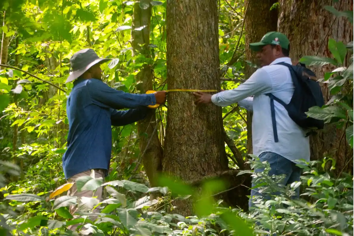 En Sincelejo impulsan inventarios forestales para promover un desarrollo sostenible