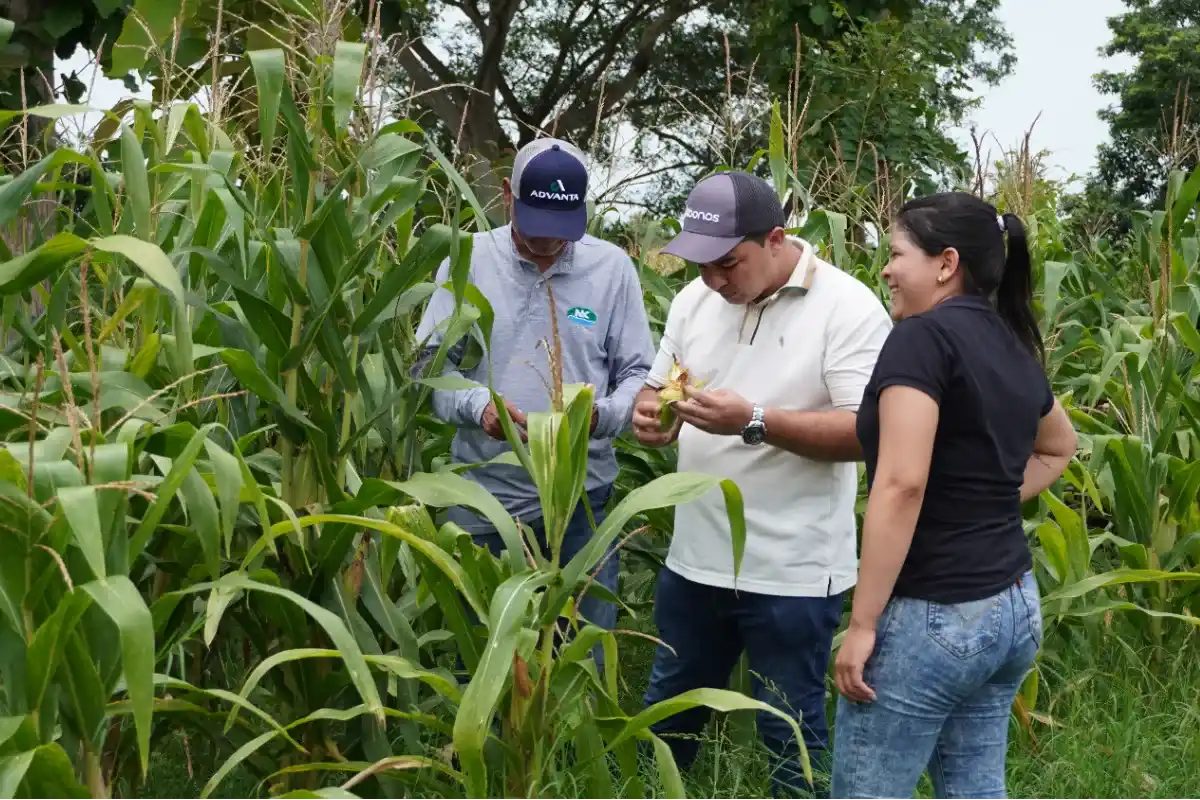 La biotecnología es el futuro del agro