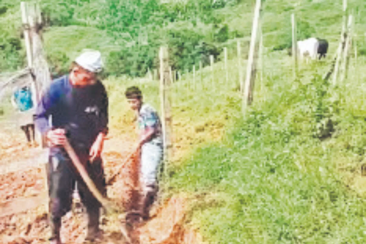Con pico y pala campesinos reparan vías en Tierralta