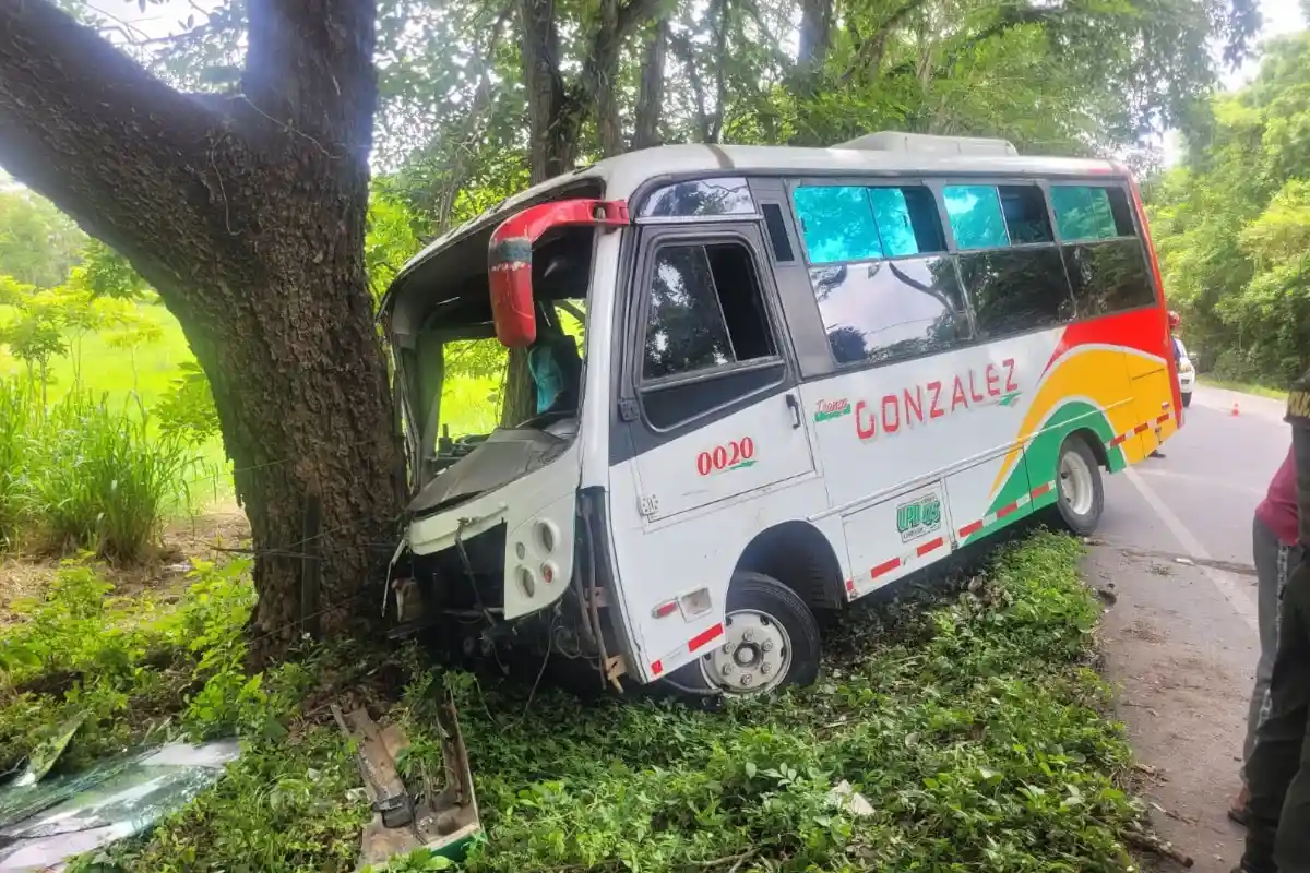 Lo frenó un árbol: 4 menores salieron lesionados