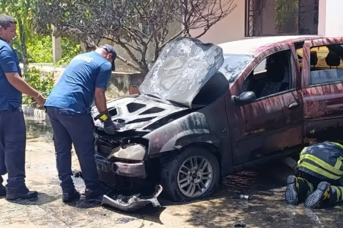 No pudieron hacer nada para salvarlos