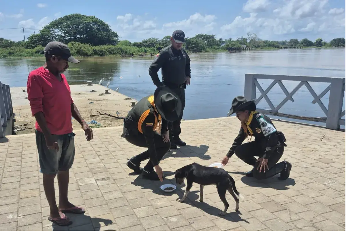 Carabineros alimentan y cuidan animales en situación de calle en Lorica