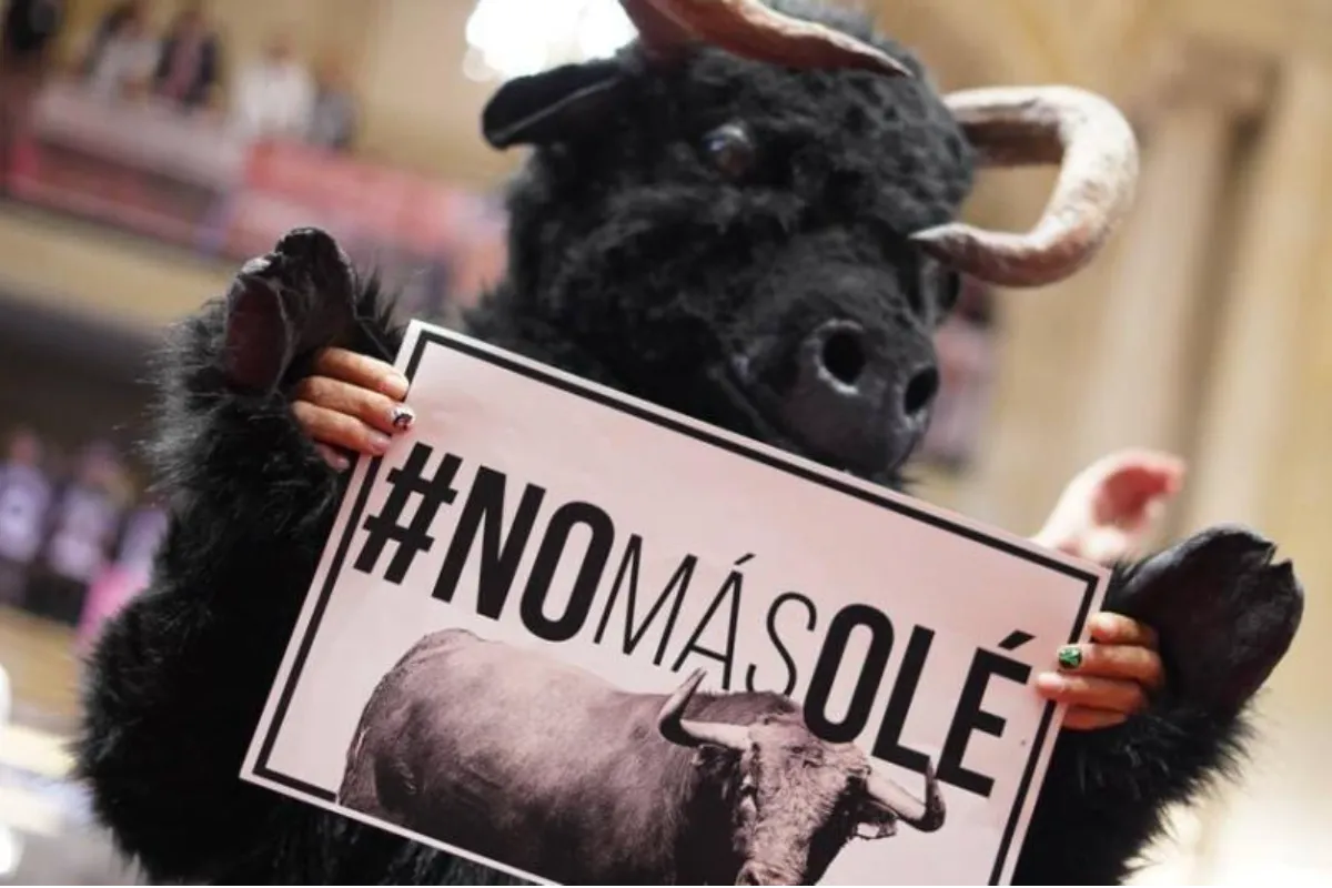 Corte Constitucional prohíbe corridas de toros, cabalgatas, corralejas y peleas de gallos en Colombia
