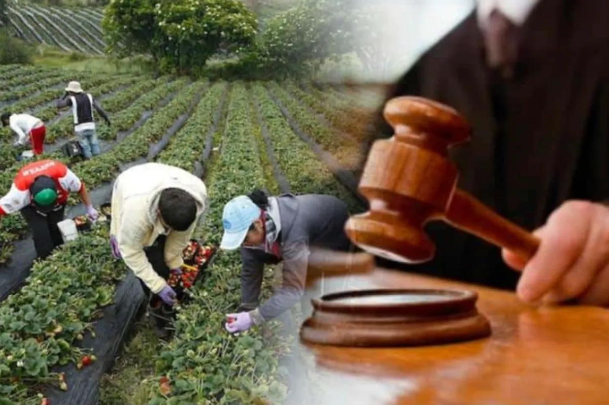 Reforma agraria pasa a sanción presidencial