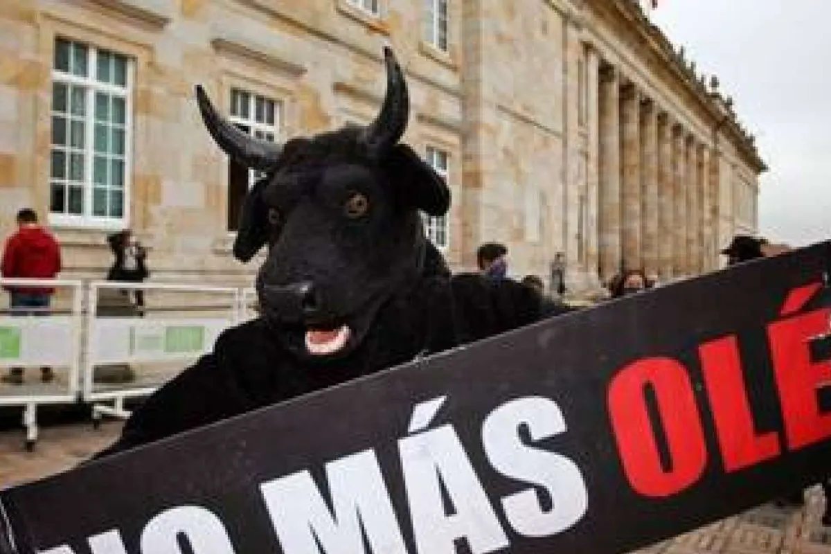 Que se puede y que no con los animales