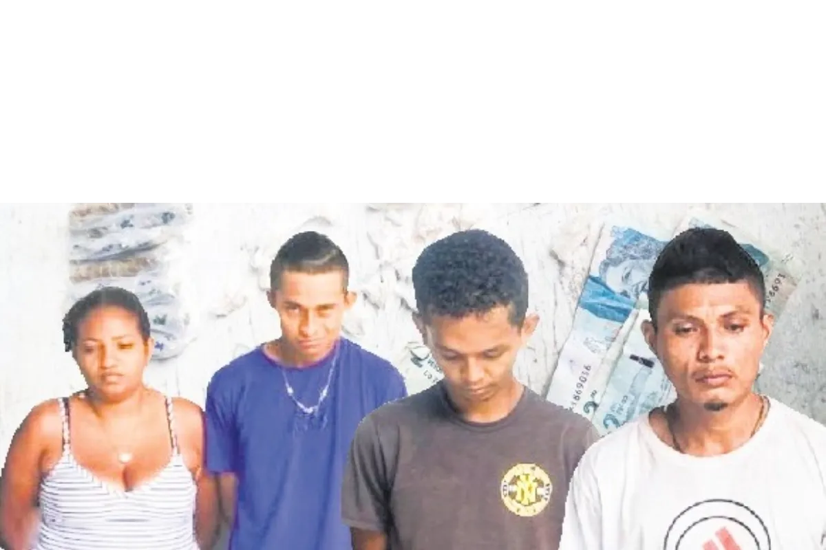 Operaban de manera clandestina en el sur
