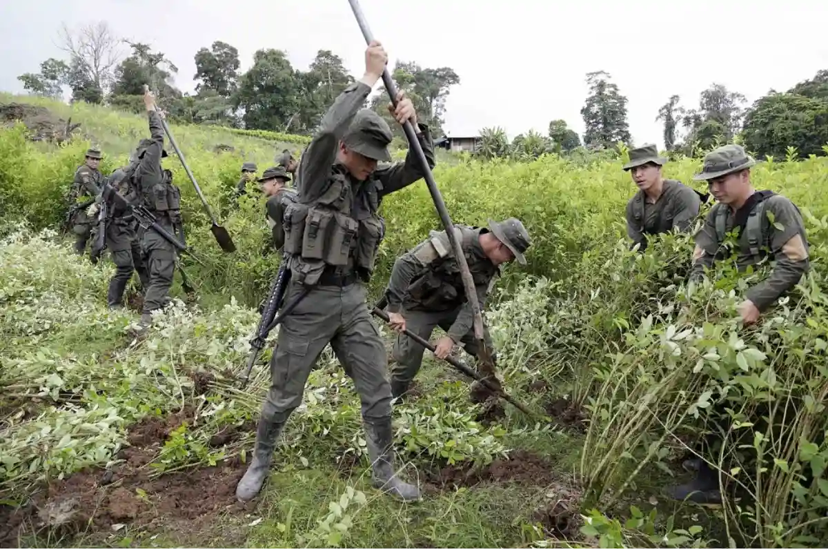 ¿Qué pasa si EE.UU. descertifica a Colombia?