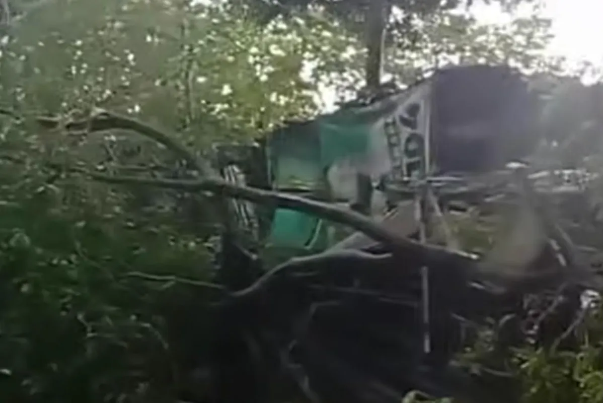 Se cayó un árbol: dos menores lesionadas