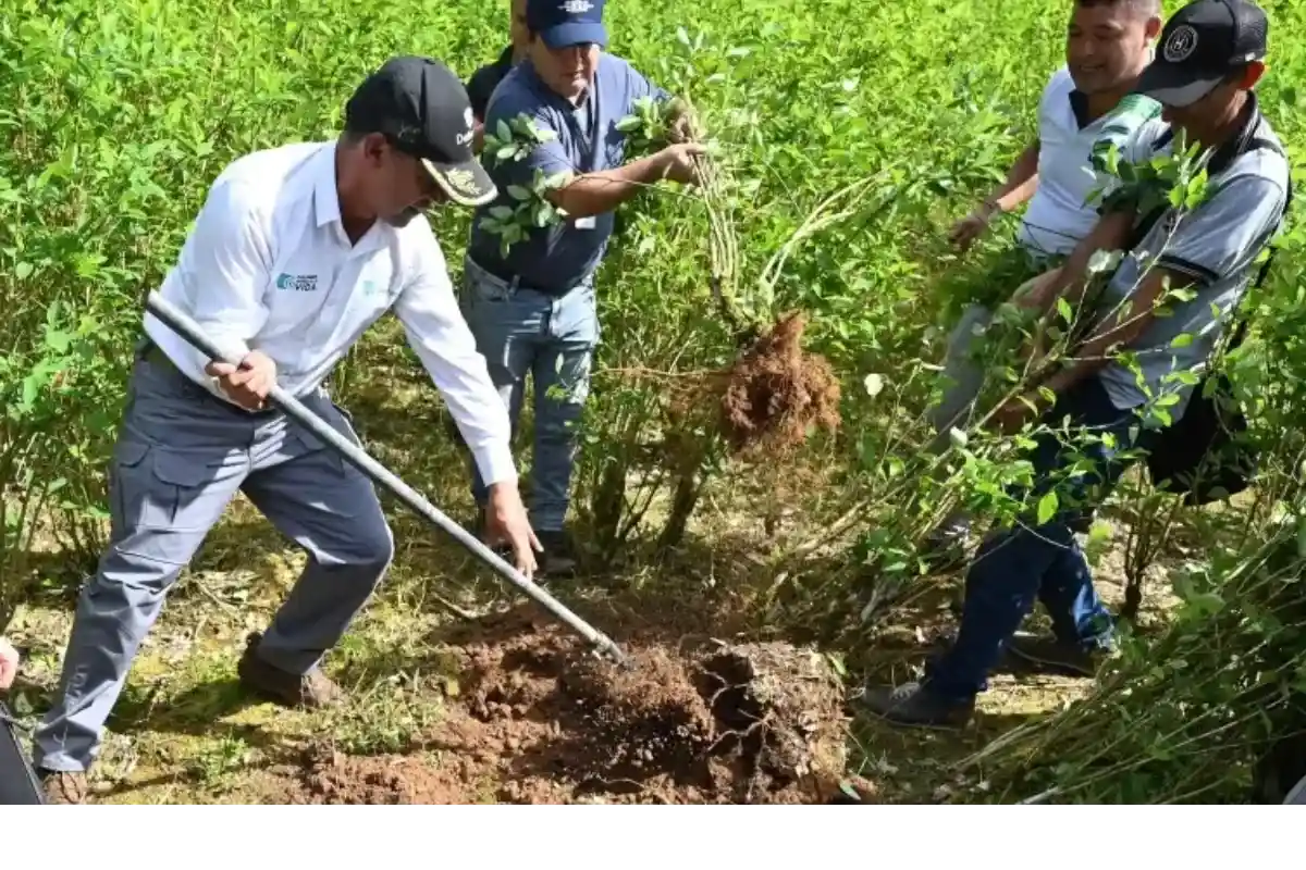 Descertificación, reaccionaron