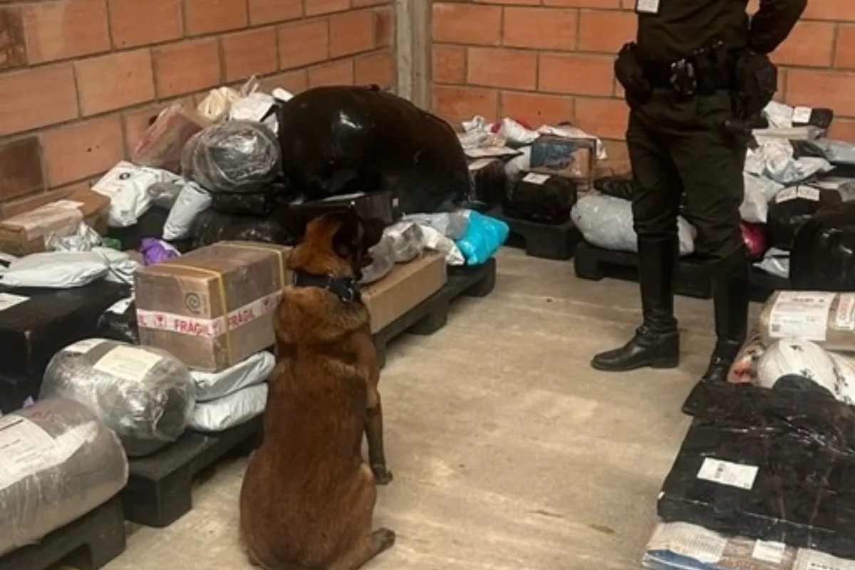 Un canino delató un envío sospechoso