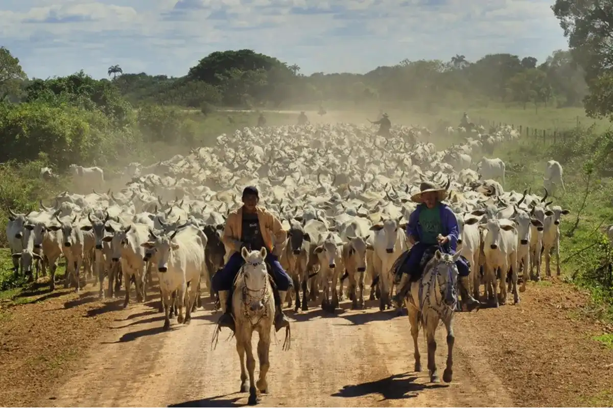 Día del Ganadero, un homenaje a quienes labran el campo