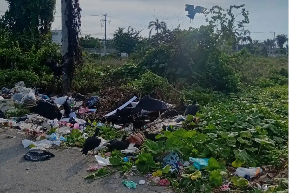 Denuncian riesgos por basurero a cielo abierto