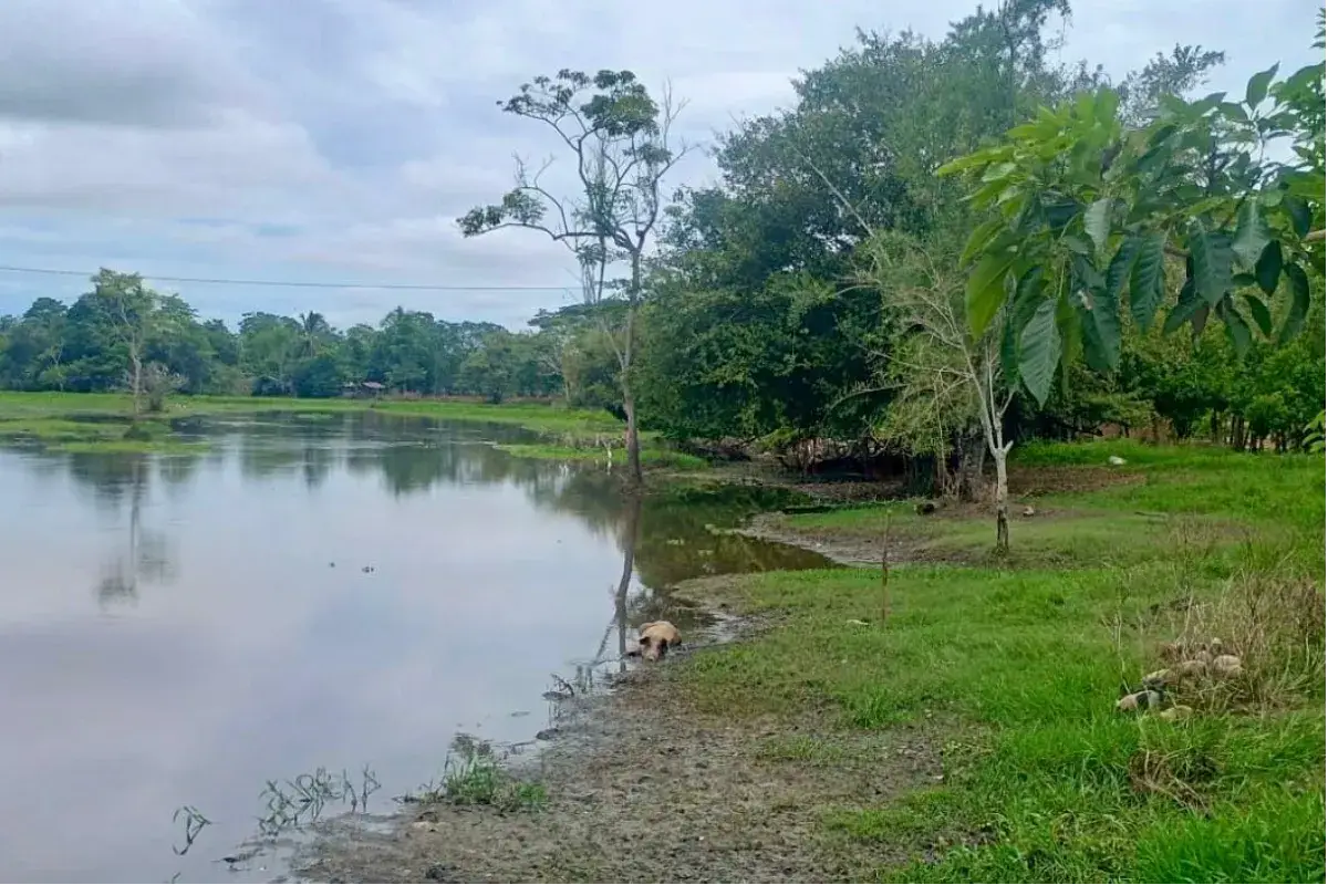 $500 millones para reforzar jarillón en zona rural de Guaranda