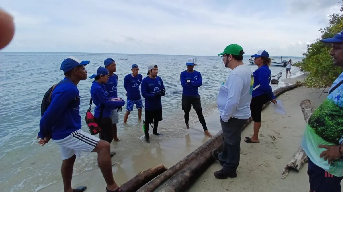 Tortugas marinas en San Onofre ya tienen guardianes