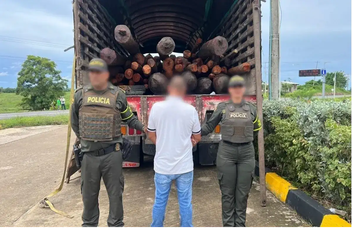 Transportaban madera ilegalmente