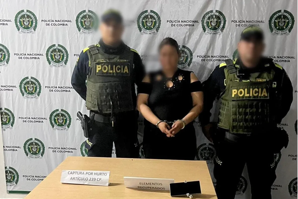 Pretendía sacar un celular de una estantería y la detuvieron