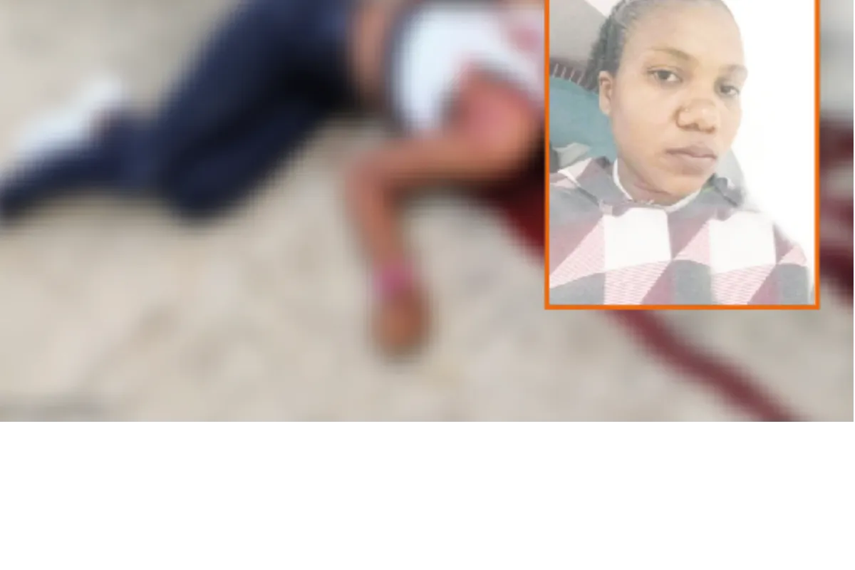 Su pareja la habría matado con arma blanca