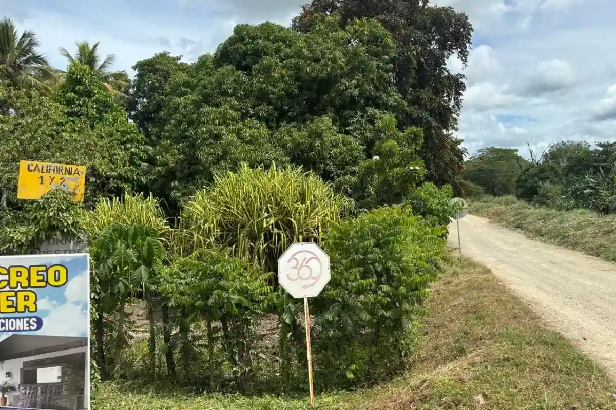 Mujer asesinada tenía 13 procesos judiciales