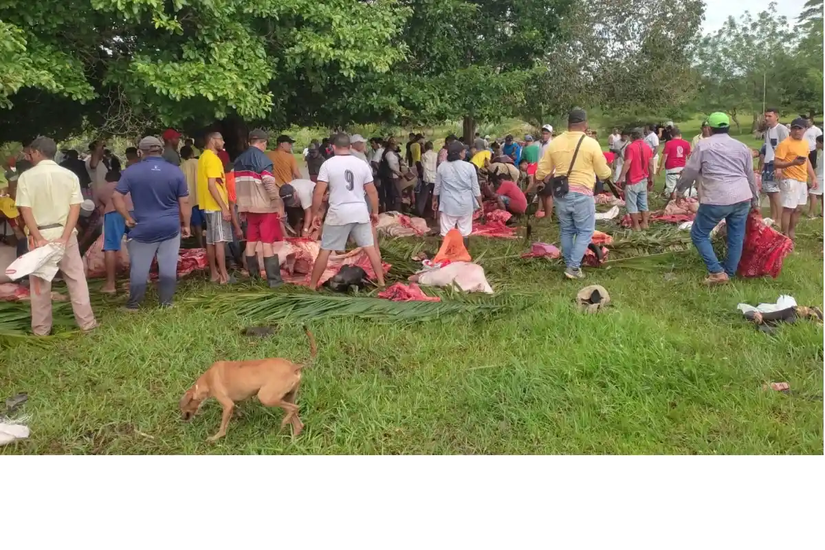 Rayo mató a 25 semovientes en La Unión (Sucre)