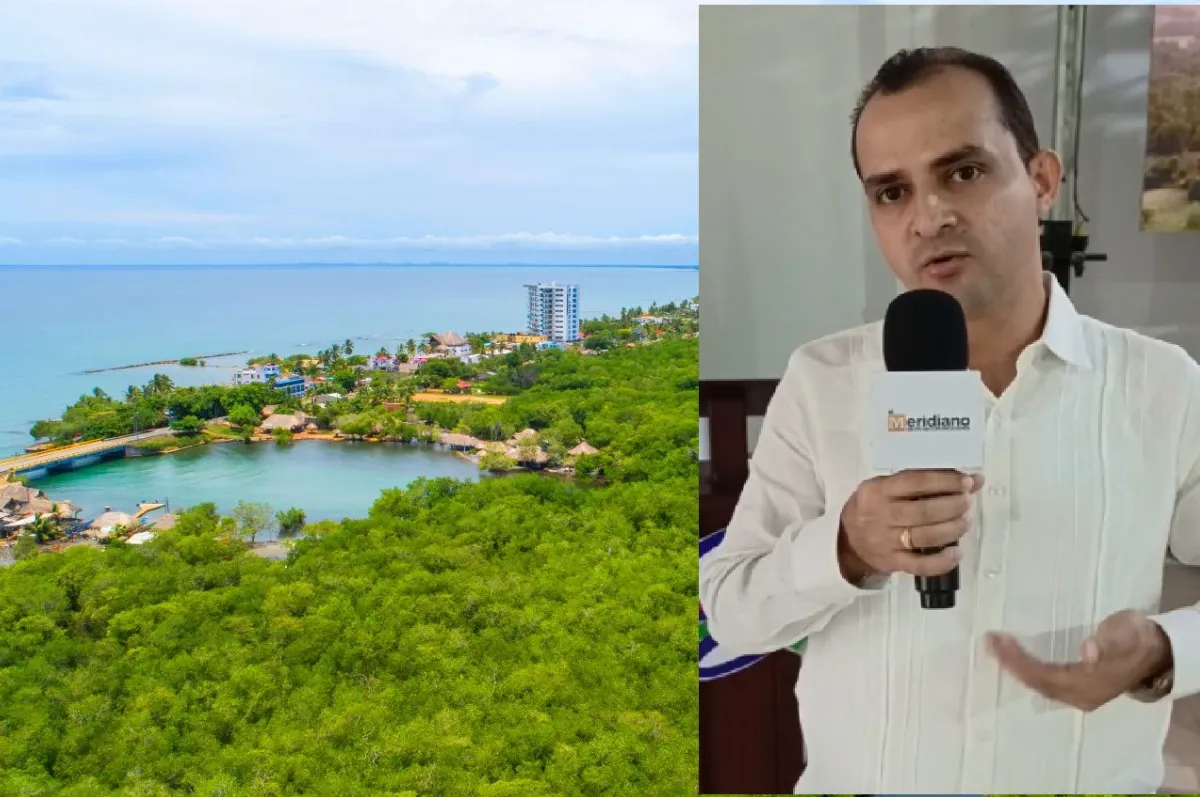 Condena por invasión de manglar es una advertencia: Carsucre