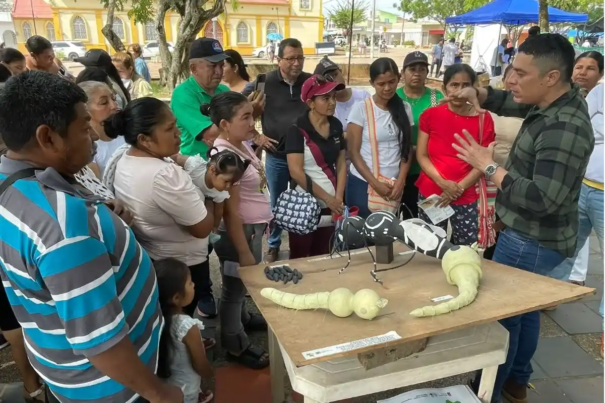 Sucre intensifica acciones contra el dengue