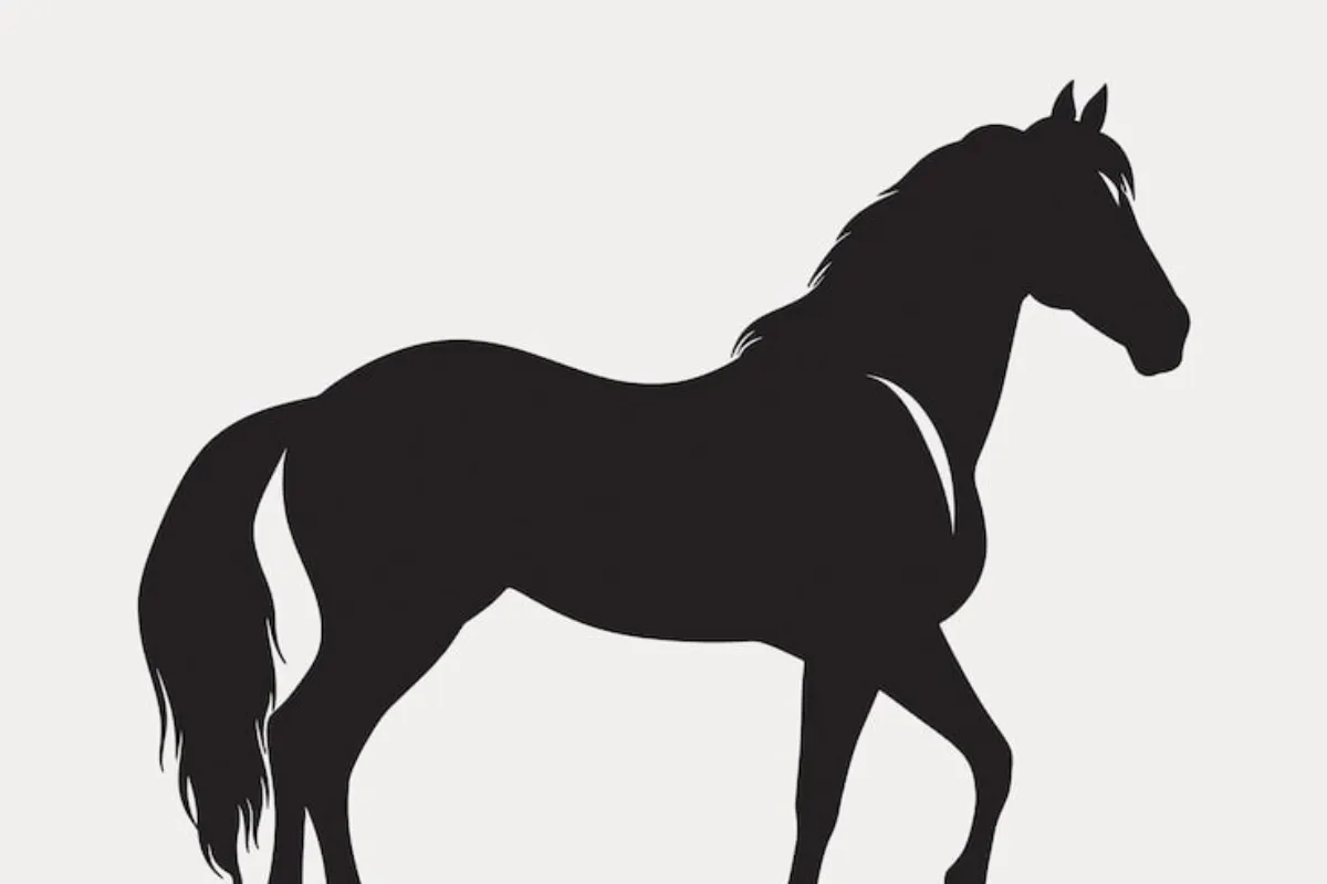 Encefalitis equina, un riesgo para todos en las cabalgatas