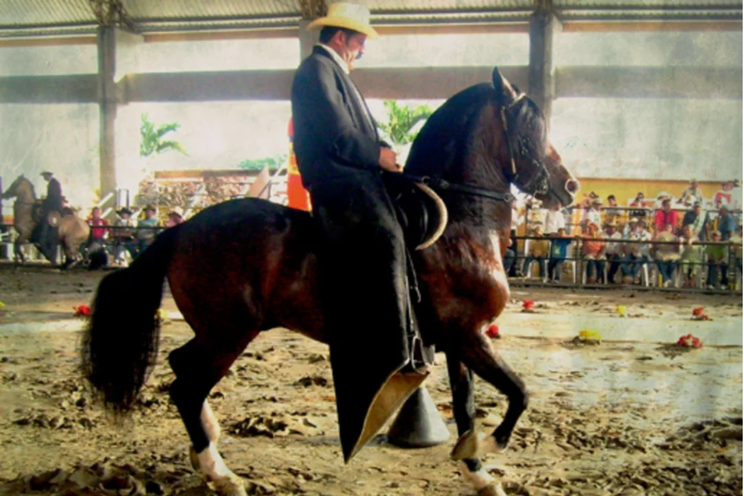 Fedequinas aclaró cómo se transmite la Encefalitis Equina del Este