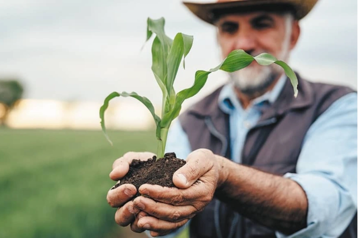 Manufacturas y productos agro, lo más importando en el país