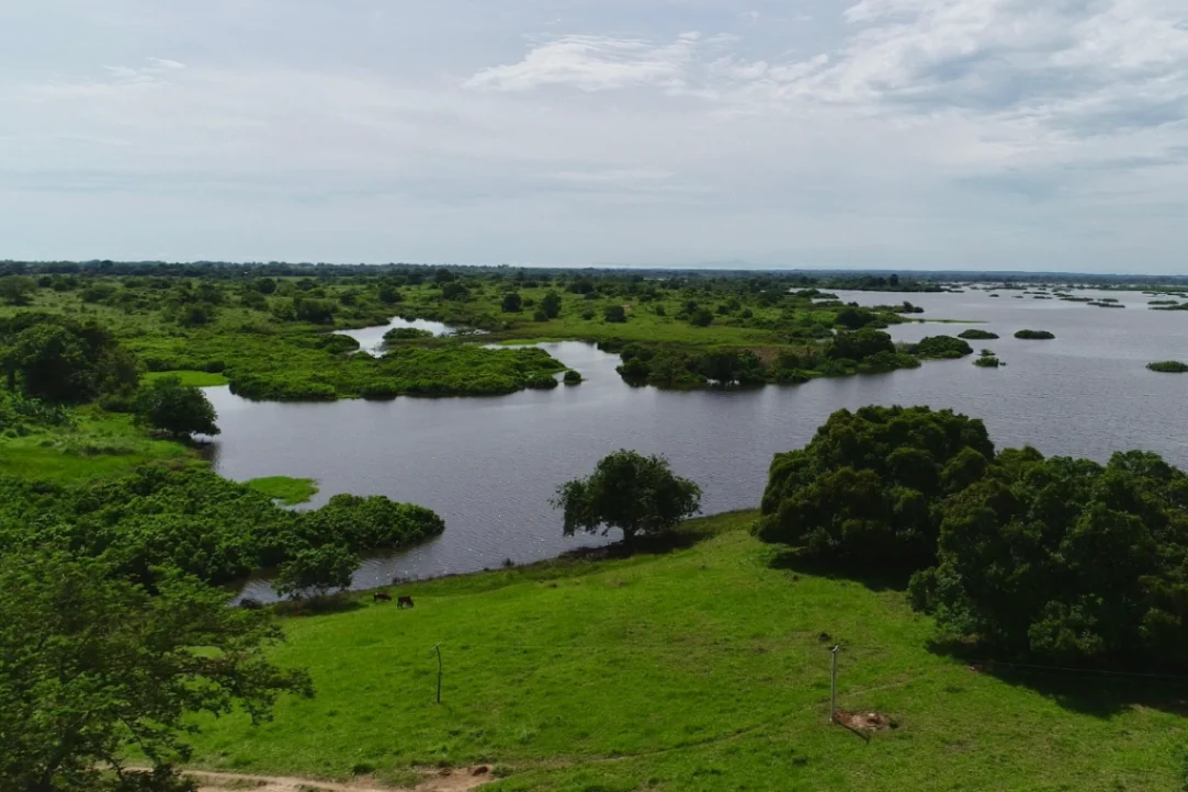 CVS declara Humedal Las Marías en Buenavista como Distrito de Conservación