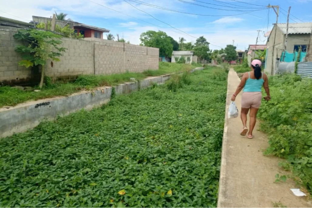 El canal del Edén se ahoga entre la maleza y el abandono