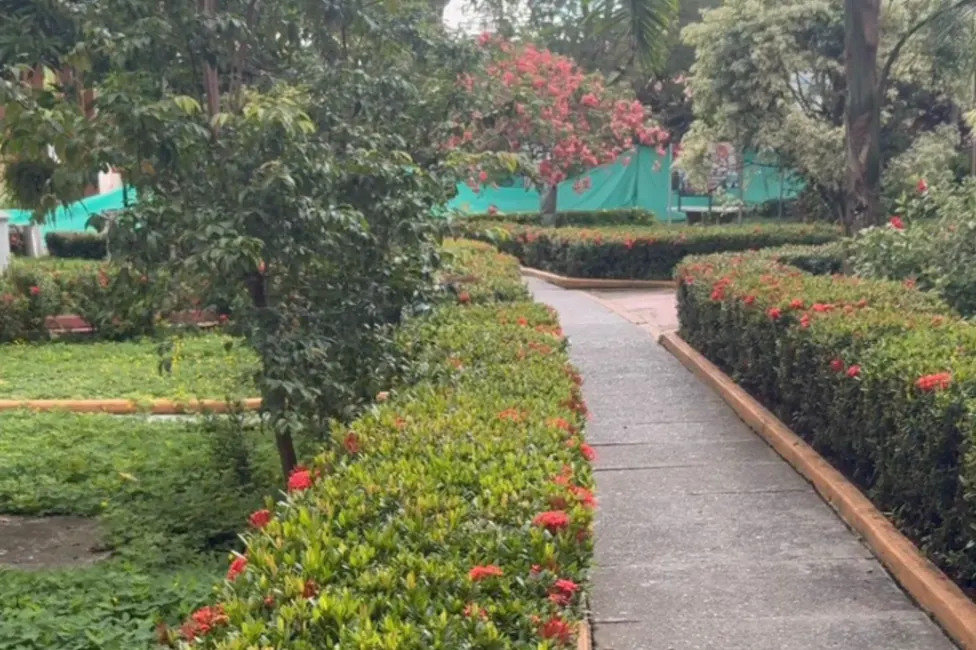 Unisinú se suma a Aliados verdes: con un campus sostenible que le apuesta al cuidado ambiental