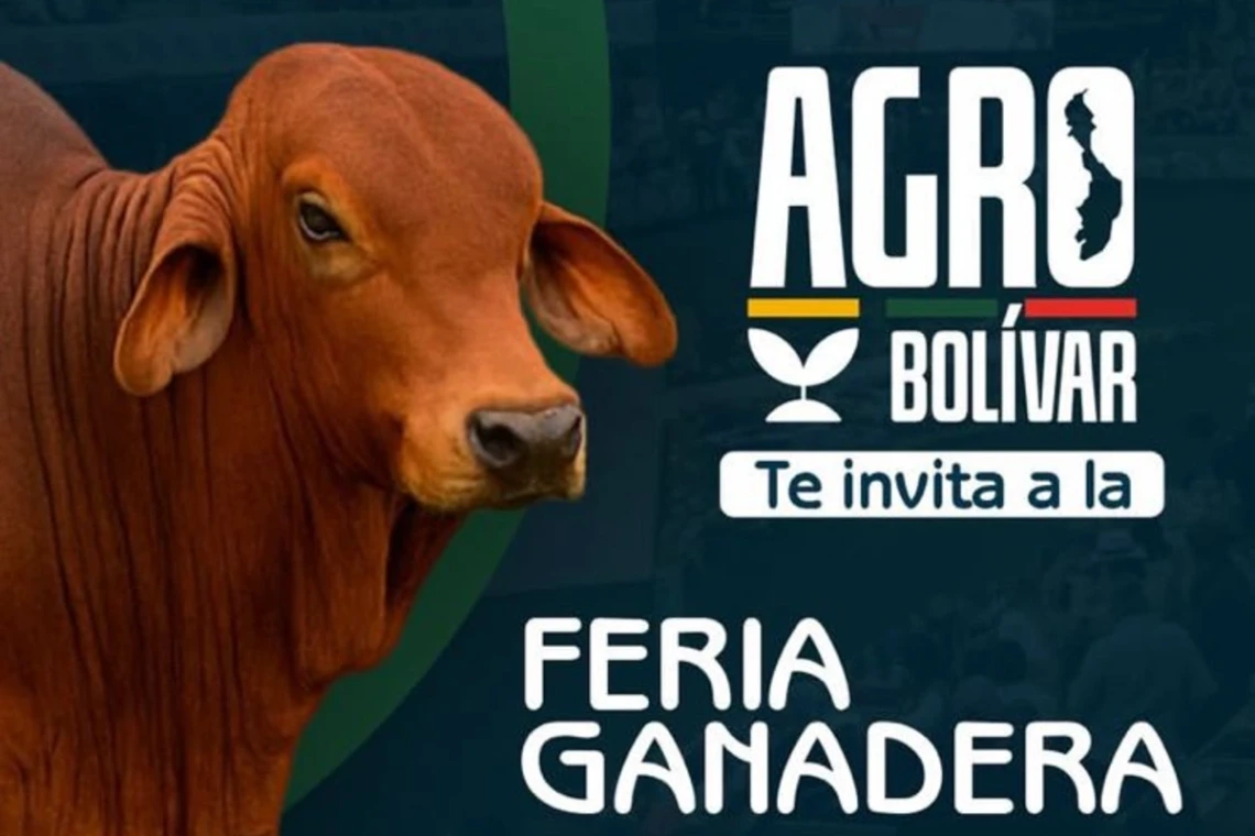 Arjona, Bolívar, celebrará la Feria Ganadera 2025