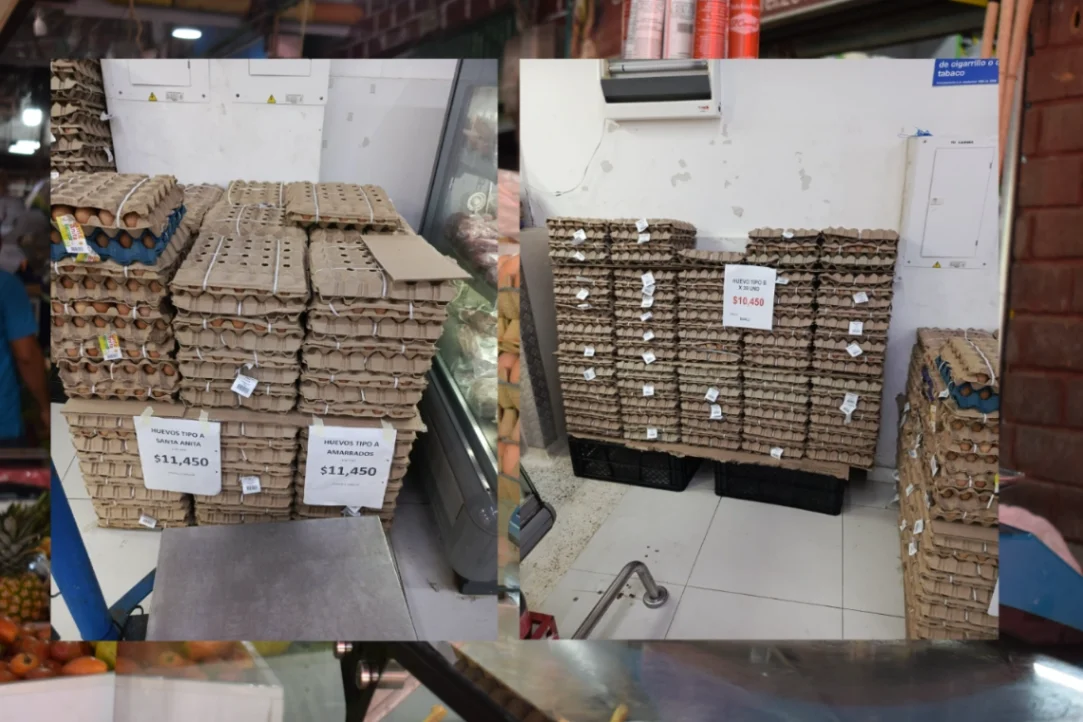 Poca variación en los precios, algunos estarían especulando