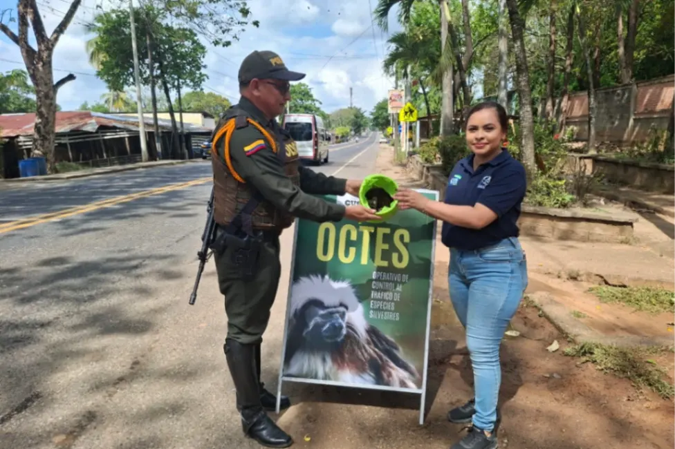 Grupo carabineros Decor conmemora el 'Día Mundial de las Aves' con acción preventiva en Sahagún