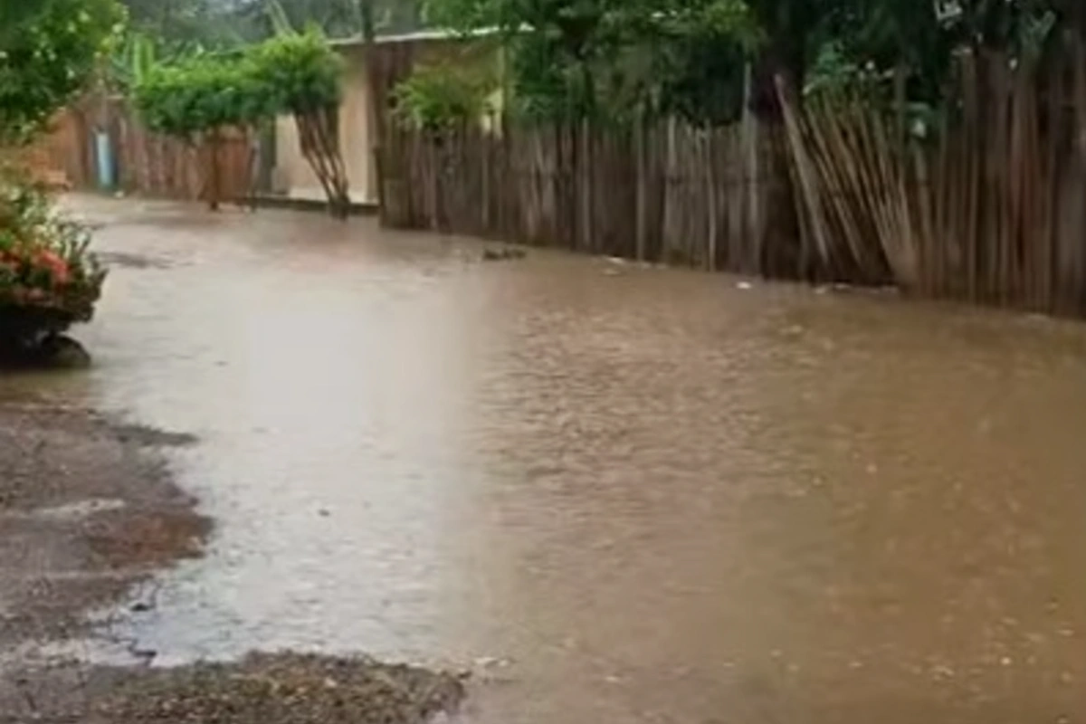 Lluvias provocan pérdidas en Valencia, ¿y la Alcaldía?