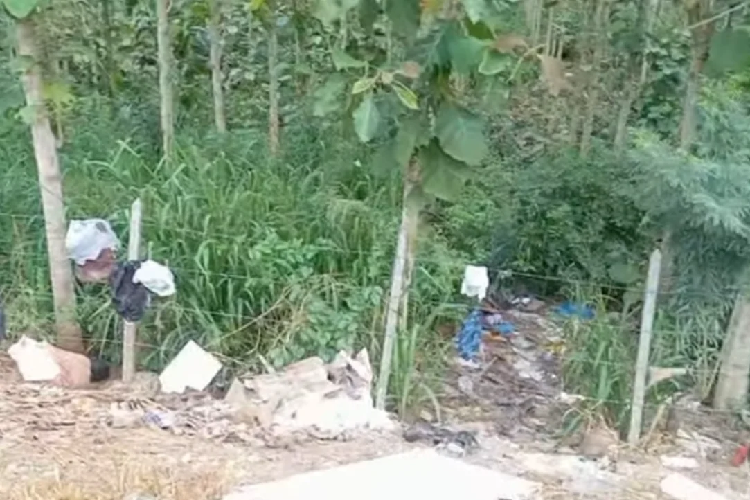 Piden controles a las basuras
