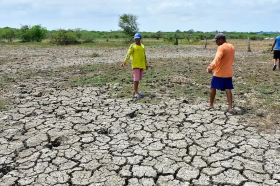 Diez municipios de Córdoba en máxima alerta por sequía