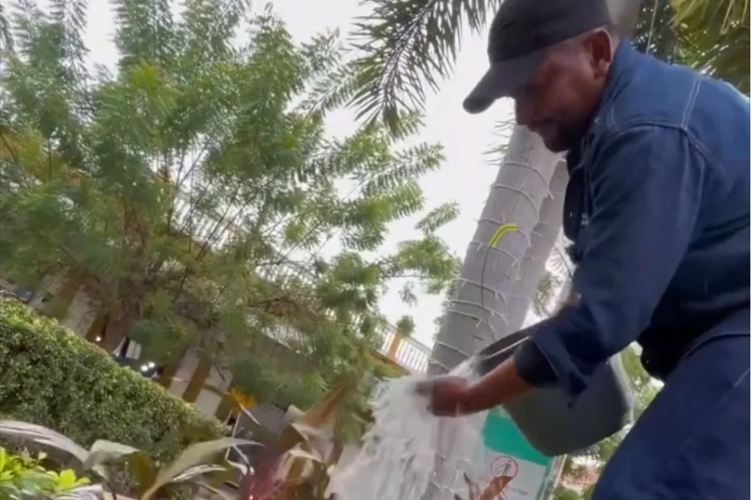 Avanza recuperación de zonas verdes en Lorica