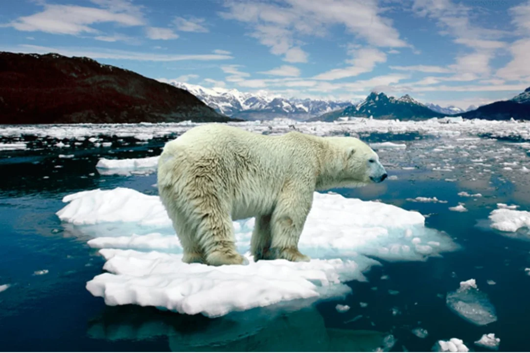 Crisis climática, Océanos rompen récord de calor en 2025