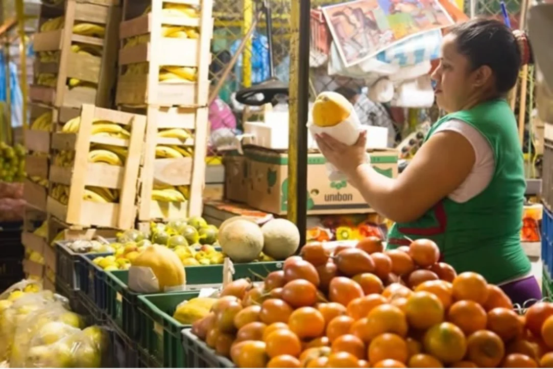 Agro y comercio con 5,3 millones de informales