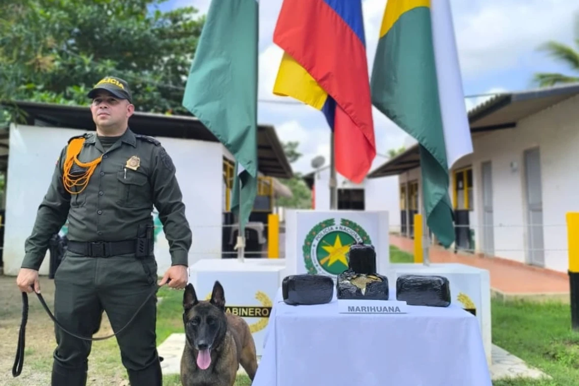 Canina descubrió 5 mil gramos de marihuana