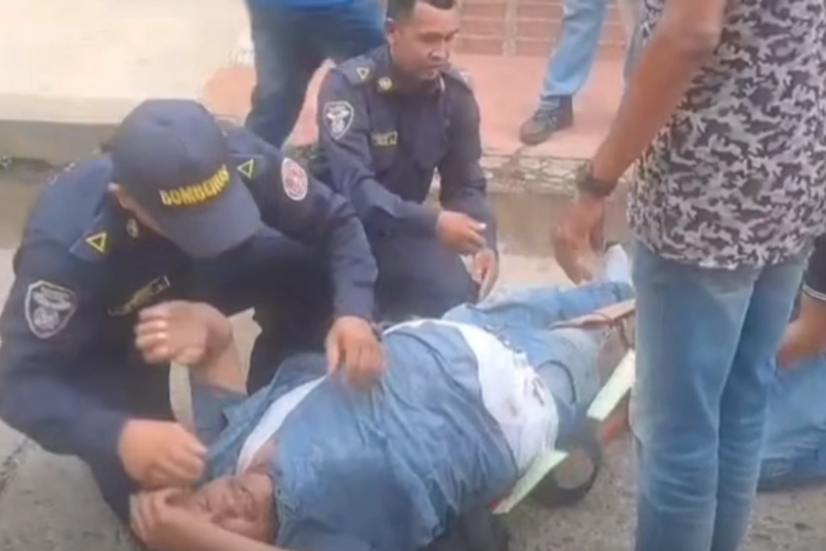 Un animal se le atravesó