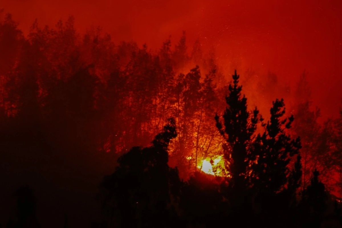 Equipo colombiano viajará a Chile para atender incendios forestales