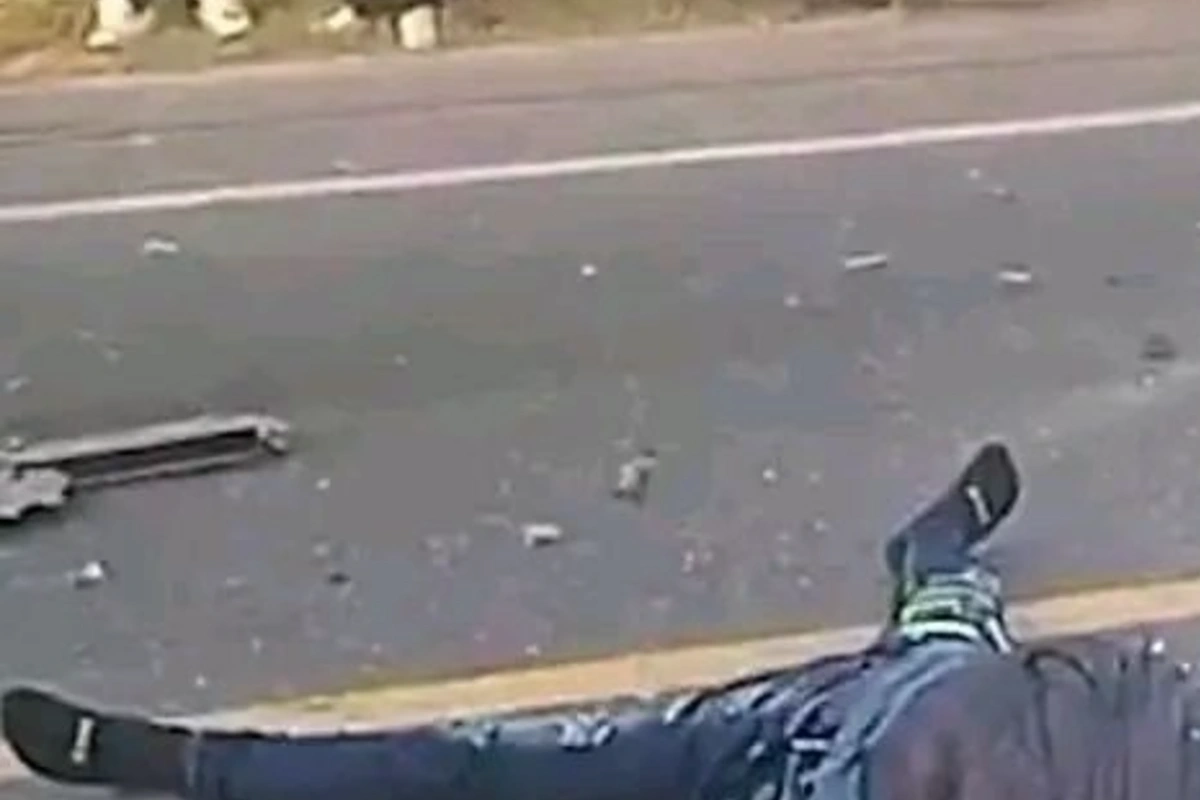 Otra vida que queda en las carreteras