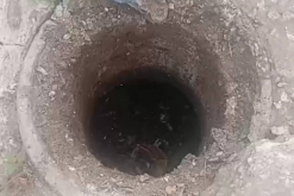 Habitantes de Altos del Rosario denuncian taponamiento de manholes