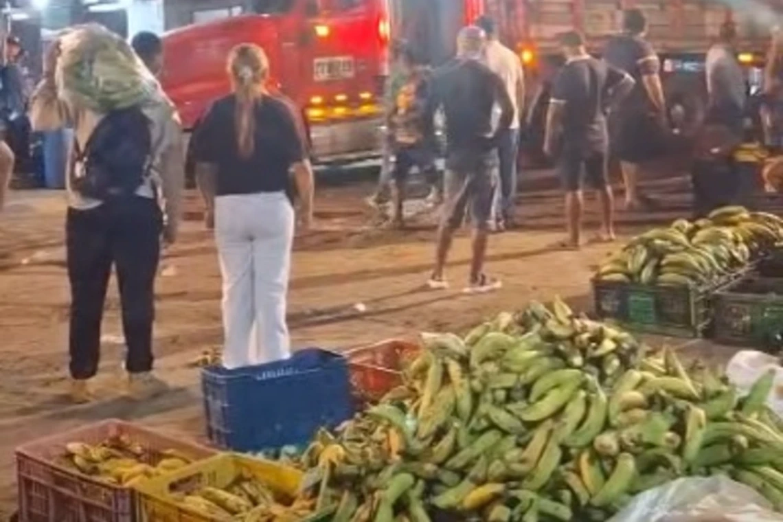 Amenaza por llegada de plátano de Ecuador