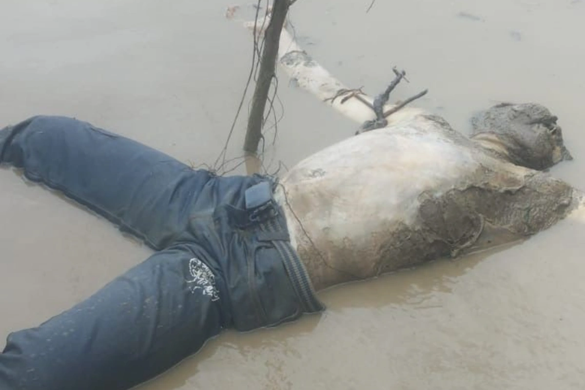 Lo hallaron en la orilla del río